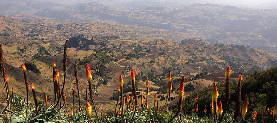 Ethiopia in photos